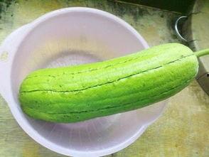 直播吃的水瓜,水瓜美食之旅，尽享田园风味