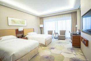 吃瓜客房短剧,一场爆笑的短剧狂欢