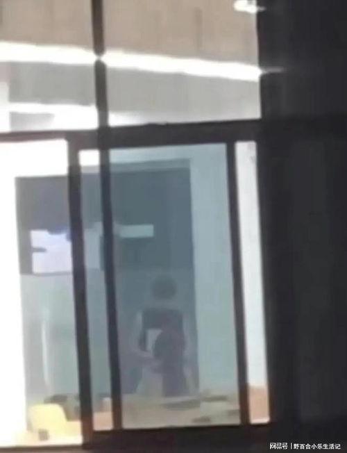 教室门吃瓜,揭秘校园里的闲聊趣事