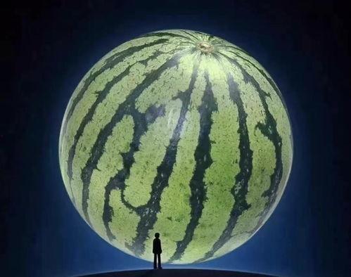 鹿屿吃瓜,揭秘娱乐圈背后的那些事儿