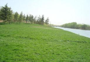 剪草坪吃瓜,悠然吃瓜度时光