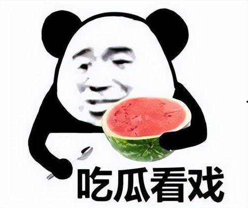 卖瓜的大姐吃瓜表情包