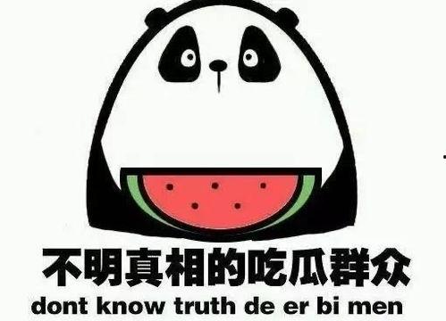 你们吃瓜了吗,娱乐圈最新热点事件大盘点